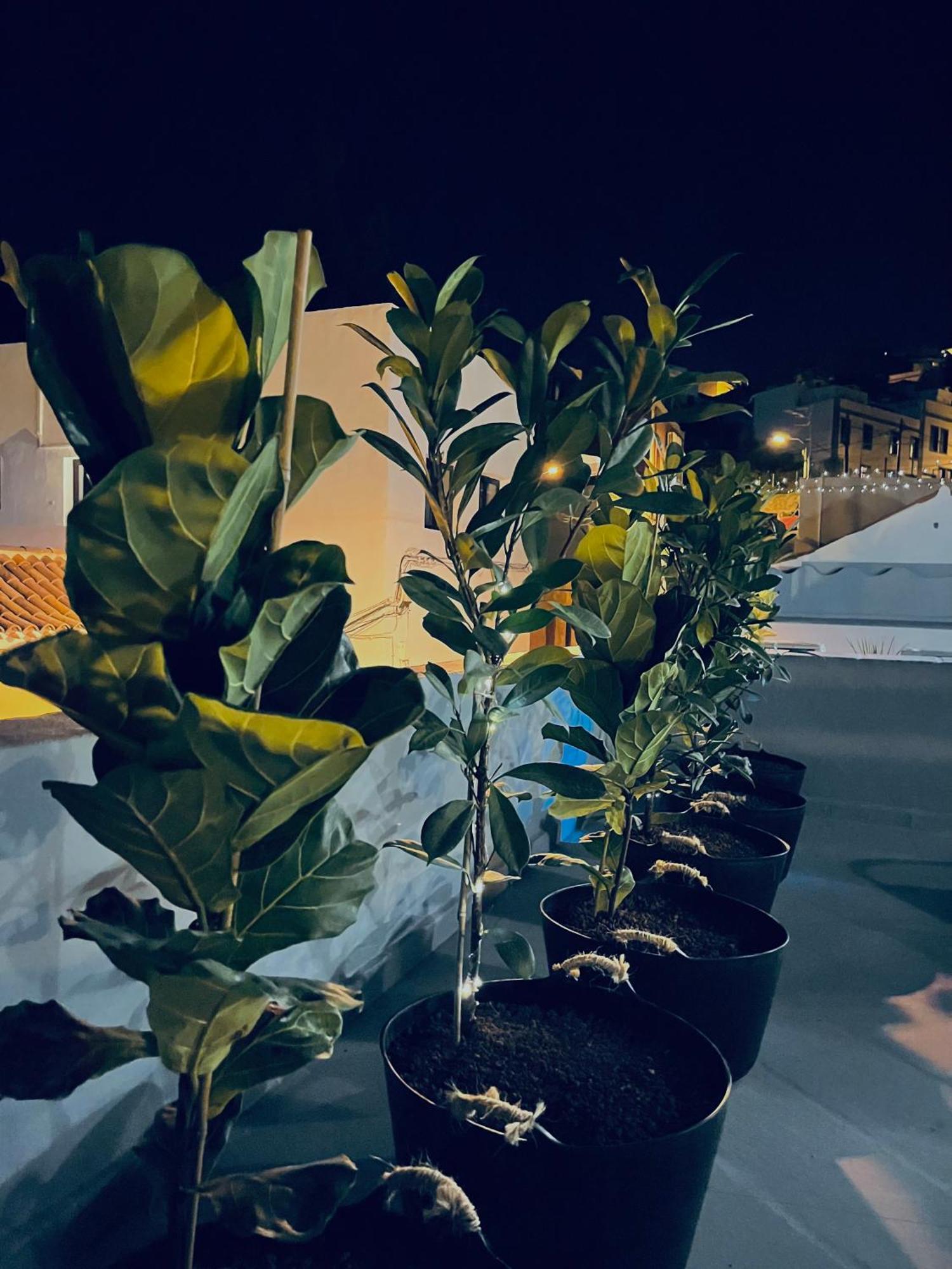 Plaza De La Fuente Granadilla De Abona Tenerife Sur Only Adults Con Terraza Privada Экстерьер фото